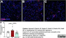 Anti Mouse CD68 Antibody, clone FA-11 gallery image 88