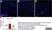 Anti Mouse CD68 Antibody, clone FA-11 thumbnail image 88