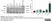Anti Mouse CD68 Antibody, clone FA-11 thumbnail image 89