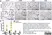 Anti Mouse CD68 Antibody, clone FA-11 thumbnail image 96