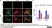 Anti Mouse CD68 Antibody, clone FA-11 thumbnail image 98