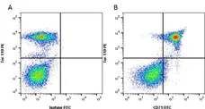 Anti Mouse CD71 Antibody, clone 8D3 gallery image 1