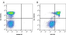 Anti Mouse CD71 Antibody, clone 8D3 gallery image 2