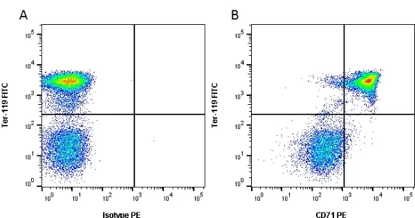 Anti Mouse CD71 Antibody, clone 8D3 gallery image 2