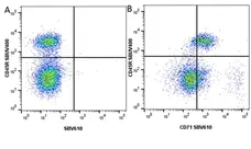 Anti Mouse CD71 Antibody, clone YTA74.4 gallery image 2