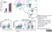 Anti Mouse CD79b Antibody, clone HM79-11 thumbnail image 2