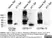 Anti Mouse CD79b Antibody, clone HM79-11 thumbnail image 3