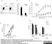 Anti Mouse CD8 Alpha Antibody, clone KT15 thumbnail image 1