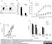 Anti Mouse CD8 Alpha Antibody, clone KT15 thumbnail image 12
