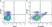 Anti Mouse CD8 Alpha Antibody, clone KT15 thumbnail image 13