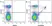 Anti Mouse CD8 Alpha Antibody, clone KT15 thumbnail image 15