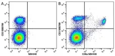 Anti Mouse CD8 Alpha Antibody, clone KT15 gallery image 18