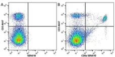 Anti Mouse CD8 Alpha Antibody, clone KT15 gallery image 19
