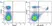 Anti Mouse CD8 Alpha Antibody, clone KT15 thumbnail image 19