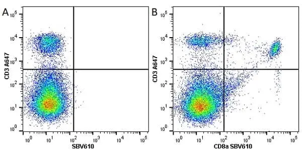 Anti Mouse CD8 Alpha Antibody, clone KT15 gallery image 19