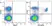 Anti Mouse CD8 Alpha Antibody, clone KT15 thumbnail image 20