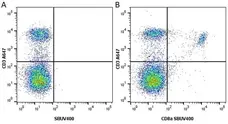 Anti Mouse CD8 Alpha Antibody, clone KT15 gallery image 23
