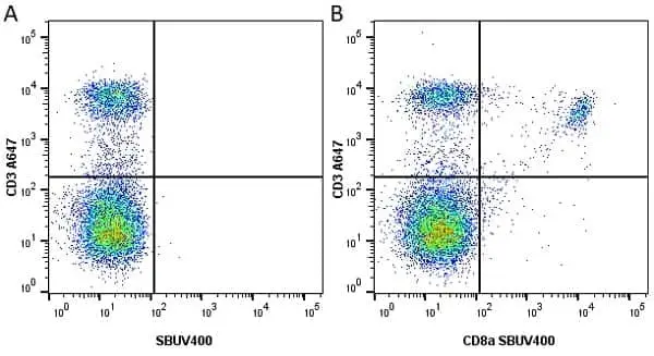 Anti Mouse CD8 Alpha Antibody, clone KT15 gallery image 23