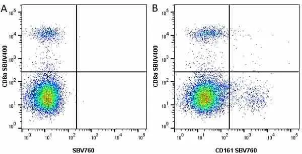 Anti Mouse CD8 Alpha Antibody, clone KT15 gallery image 24
