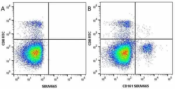 Anti Mouse CD8 Alpha Antibody, clone KT15 gallery image 27