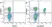 Anti Mouse CD8 Alpha Antibody, clone KT15 thumbnail image 28
