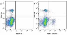 Anti Mouse CD8 Alpha Antibody, clone KT15 gallery image 29