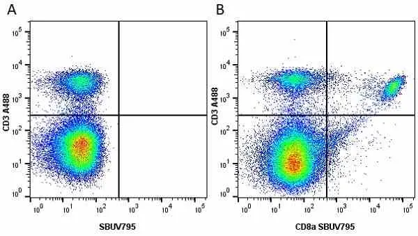 Anti Mouse CD8 Alpha Antibody, clone KT15 gallery image 32