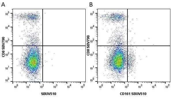 Anti Mouse CD8 Alpha Antibody, clone KT15 gallery image 35
