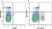 Anti Mouse CD8 Alpha Antibody, clone KT15 thumbnail image 39