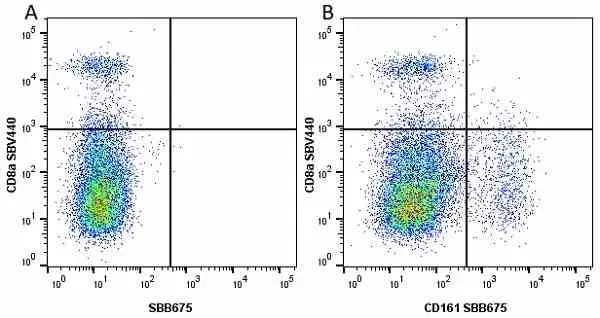 Anti Mouse CD8 Alpha Antibody, clone KT15 gallery image 41