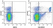 Anti Mouse CD8 Alpha Antibody, clone KT15 gallery image 42