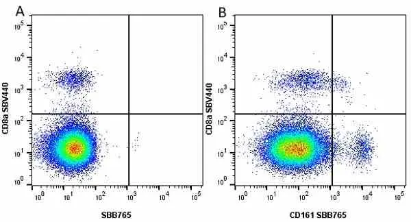 Anti Mouse CD8 Alpha Antibody, clone KT15 gallery image 43