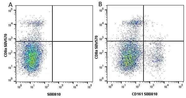 Anti Mouse CD8 Alpha Antibody, clone KT15 gallery image 45