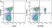 Anti Mouse CD8 Alpha Antibody, clone KT15 thumbnail image 52