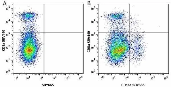 Anti Mouse CD8 Alpha Antibody, clone KT15 gallery image 53