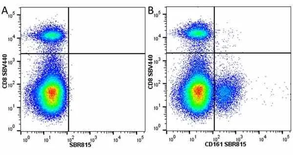Anti Mouse CD8 Alpha Antibody, clone KT15 gallery image 60