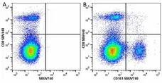Anti Mouse CD8 Alpha Antibody, clone KT15 gallery image 62