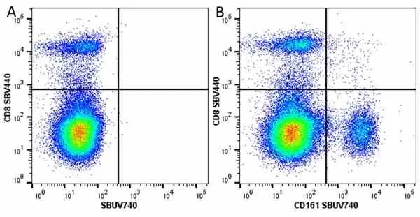 Anti Mouse CD8 Alpha Antibody, clone KT15 gallery image 62