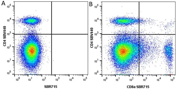Anti Mouse CD8 Alpha Antibody, clone KT15 gallery image 63