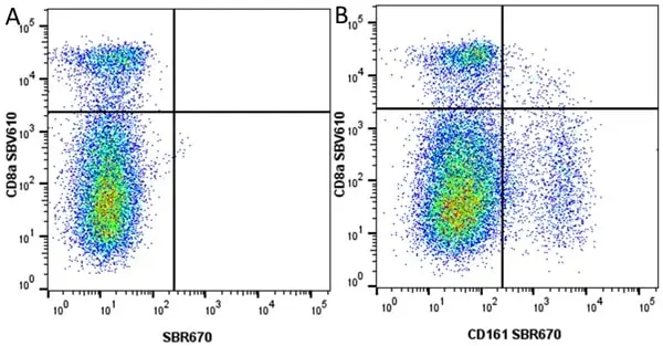 Anti Mouse CD8 Alpha Antibody, clone KT15 gallery image 65