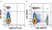 Anti Mouse CD8 Alpha Antibody, clone KT15 thumbnail image 68