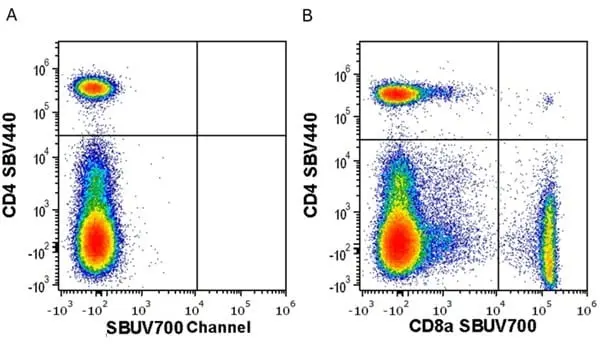 Anti Mouse CD8 Alpha Antibody, clone KT15 gallery image 68