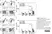 Anti Mouse CD8 Alpha Antibody, clone KT15 thumbnail image 9