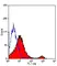 Anti Mouse CD8 Antibody, clone YTS105.18 thumbnail image 1