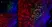 Anti Mouse CD8 Antibody, clone YTS105.18 thumbnail image 14