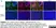 Anti Mouse CD8 Antibody, clone YTS105.18 thumbnail image 5