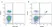 Anti Mouse CD8 Antibody, clone YTS169.4 thumbnail image 1
