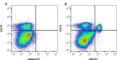 Anti Mouse CD8 Antibody, clone YTS169.4 gallery image 2