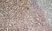 Anti Mouse CD8 Antibody, clone YTS169.4 thumbnail image 4
