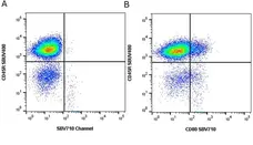 Anti Mouse CD80 Antibody, clone RM80 gallery image 12